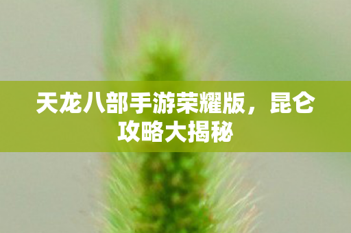 天龙八部手游荣耀版图片