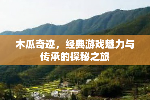 经典游戏魅力与传承的探秘之旅图片