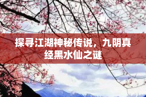 九阴真经黑水仙之谜图片