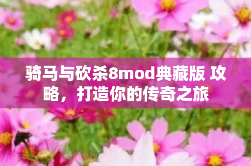 骑马与砍杀8mod典藏版 攻略图片