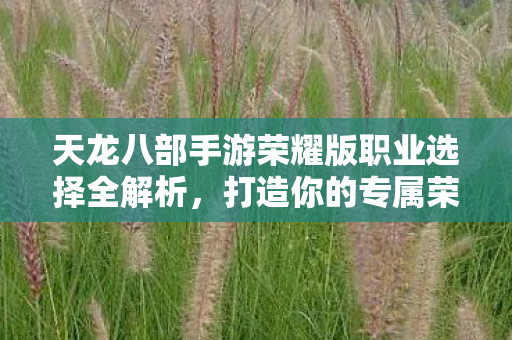 天龙八部手游荣耀版职业选择全解析图片
