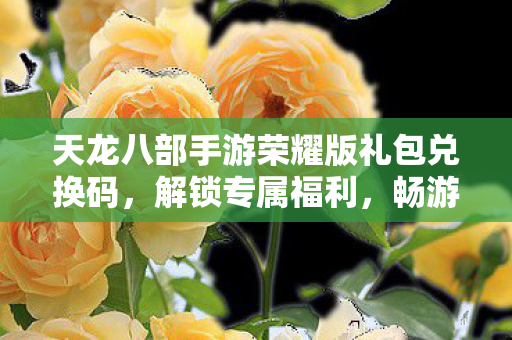 天龙八部手游荣耀版礼包兑换码图片
