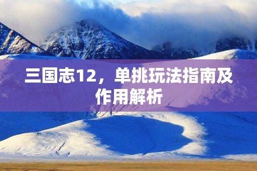 单挑玩法指南及作用解析图片