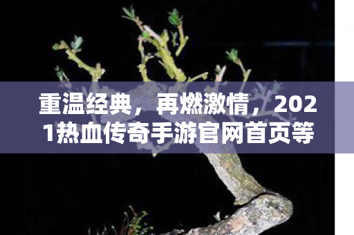 2021热血传奇手游官网首页等你来战图片