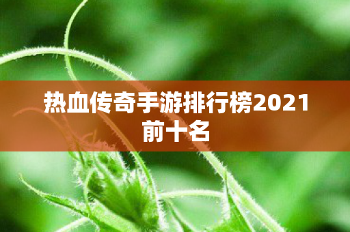热血传奇手游排行榜2021前十名图片