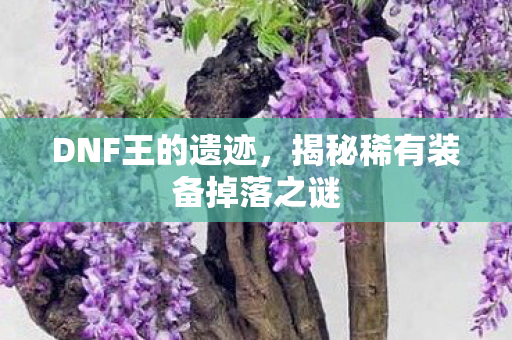 揭秘稀有装备掉落之谜图片