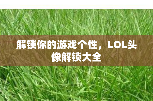 LOL头像解锁大全图片