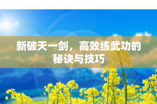 高效练武功的秘诀与技巧图片
