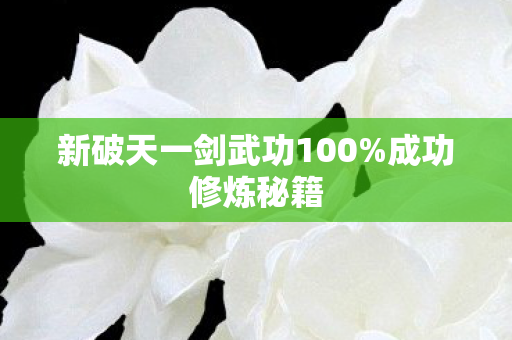新破天一剑武功100图片