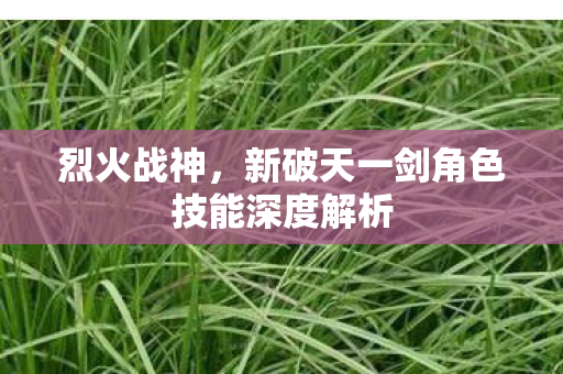 新破天一剑角色技能深度解析图片