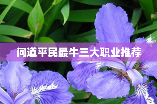 问道平民最牛三大职业推荐图片
