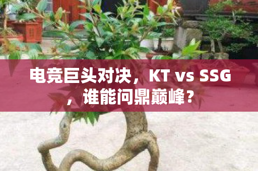 KT vs SSG图片
