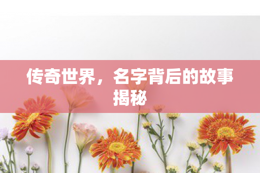 名字背后的故事揭秘图片