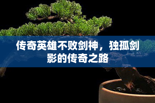 独孤剑影的传奇之路图片