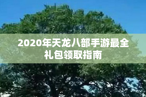 2020年天龙八部手游最全礼包领取指南图片