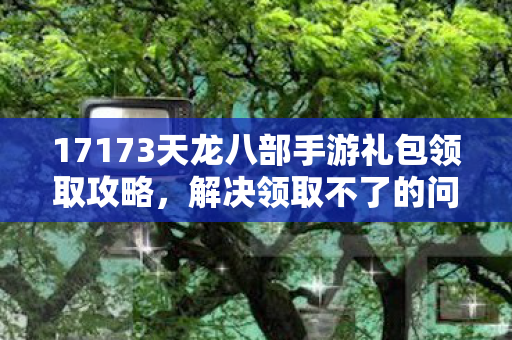 17173天龙八部手游礼包领取攻略,解决领取不了的问题 17173天龙八部手游礼包领取攻略,解决领取不了的问题