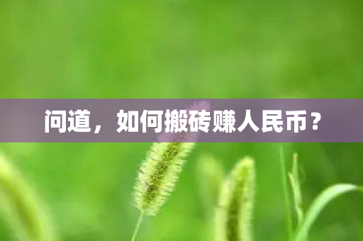 如何搬砖赚人民币图片