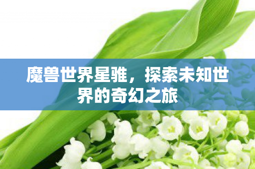 探索未知世界的奇幻之旅图片