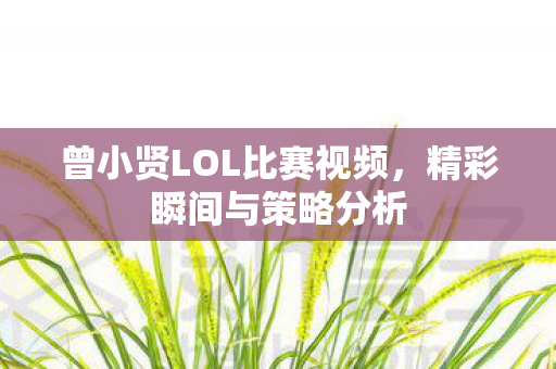 曾小贤LOL比赛视频图片