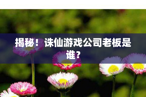 诛仙游戏公司老板是谁图片
