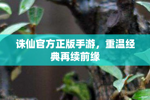 诛仙官方正版手游图片