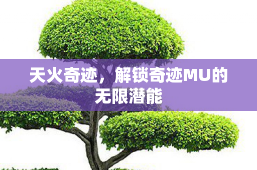 解锁奇迹MU的无限潜能图片