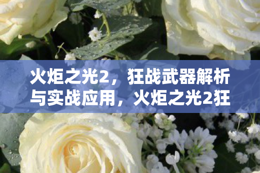 火炬之光2狂战武器深度解析与实战应用指南图片
