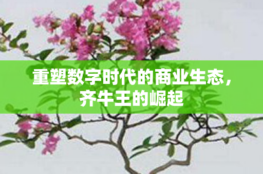 重塑数字时代的商业生态图片
