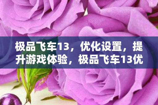 极品飞车13优化设置指南图片