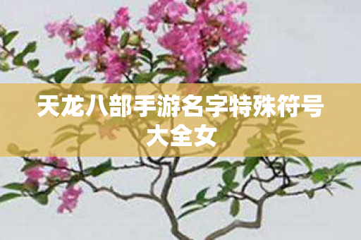 天龙八部手游名字特殊符号大全女图片
