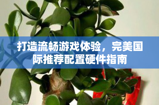 完美国际推荐配置硬件指南图片