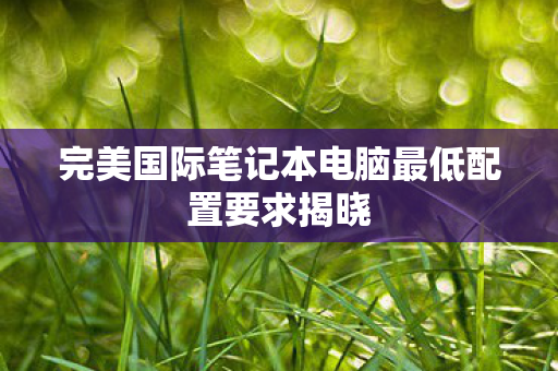 完美国际笔记本电脑最低配置要求揭晓图片