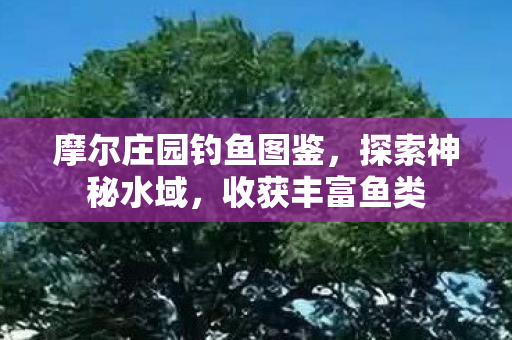 摩尔庄园钓鱼图鉴图片