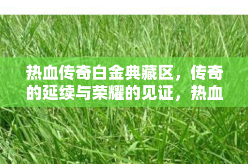传奇的延续与荣耀的见证图片