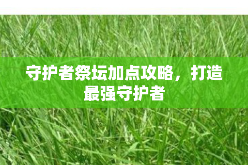 守护者祭坛加点攻略图片