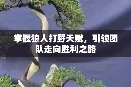 引领团队走向胜利之路图片