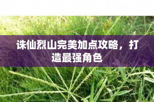 诛仙烈山完美加点攻略图片
