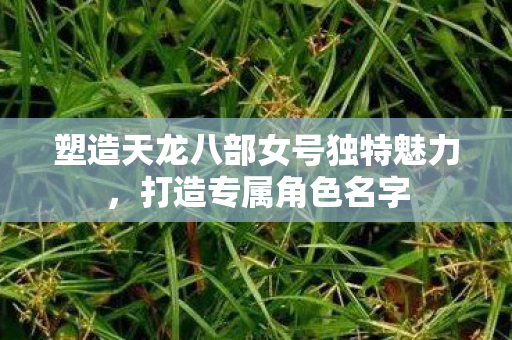 塑造天龙八部女号独特魅力图片