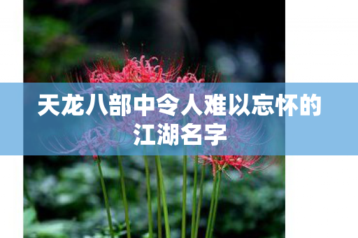 天龙八部中令人难以忘怀的江湖名字图片