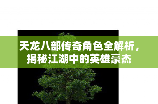 天龙八部传奇角色全解析图片