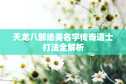 天龙八部绝美名字传奇道士打法全解析图片