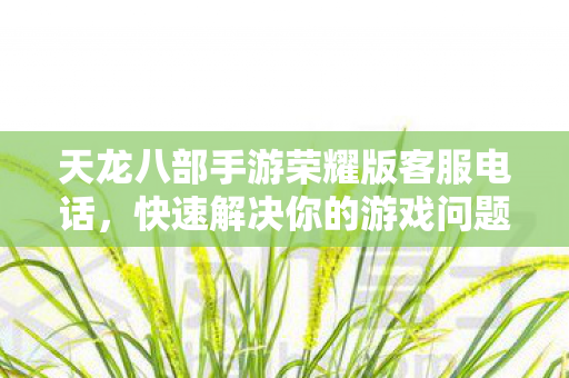 天龙八部手游荣耀版客服电话图片
