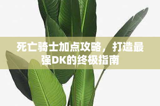 打造最强DK的终极指南图片
