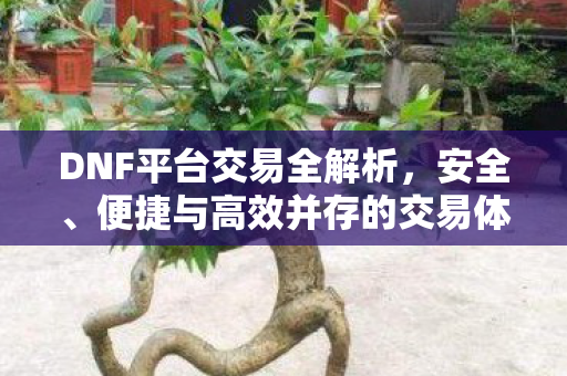 便捷与高效并存的交易体验图片