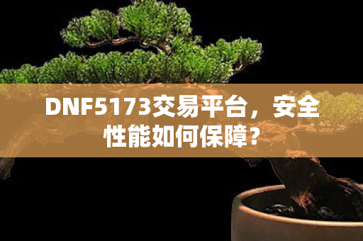 DNF5173交易平台图片