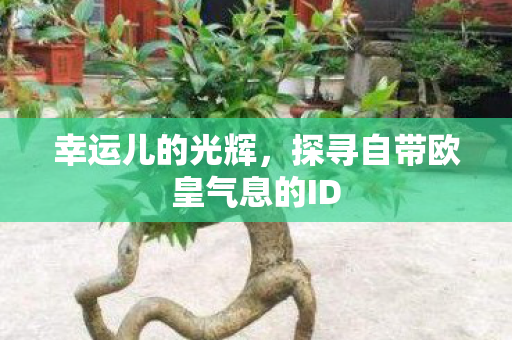 探寻自带欧皇气息的ID图片