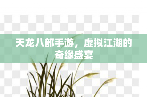 虚拟江湖的奇缘盛宴图片