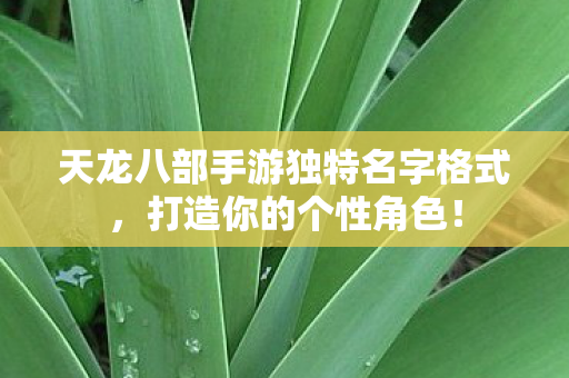 天龙八部手游独特名字格式图片