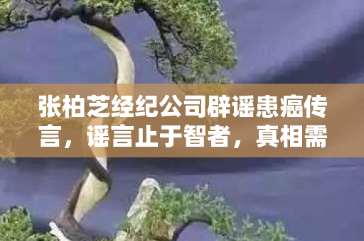 张柏芝经纪公司辟谣患癌传言图片