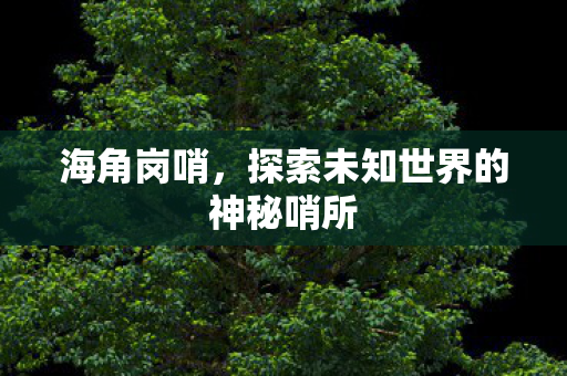 探索未知世界的神秘哨所图片